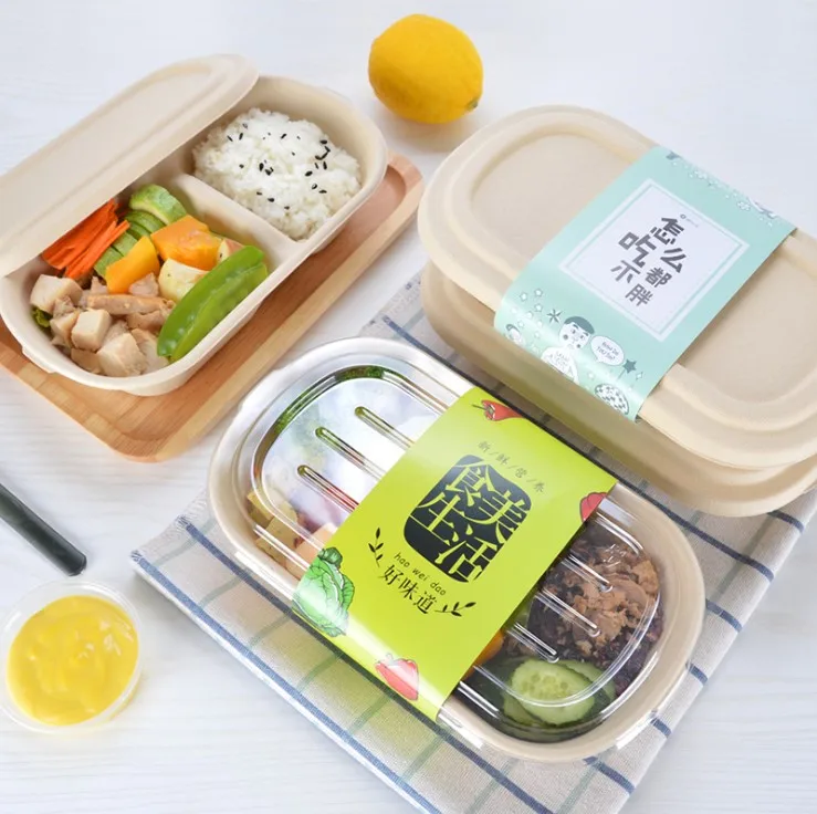 100% Biodegradable Compostable Disposable Bento Box Food Takeaway