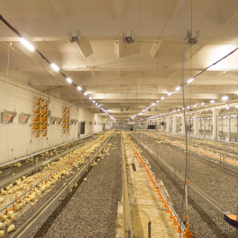 Светодиодная трубчатая лампа для птицы IP69K, корпус из алюминия и поликарбоната, защита от мойки и аммиака