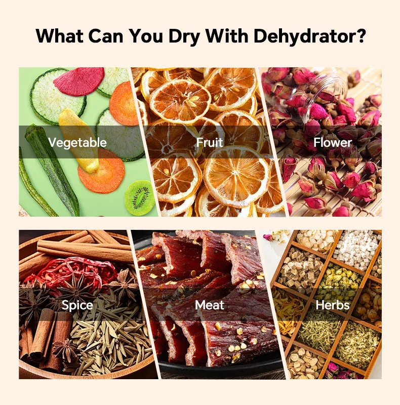 Digital Control 24 Trays Single Zone Commercial Vegetable Pepper Cucumba Dryer Machine Jerky Dehydrator