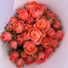 Jugo de albaricoque multi-head rose-10 sticks