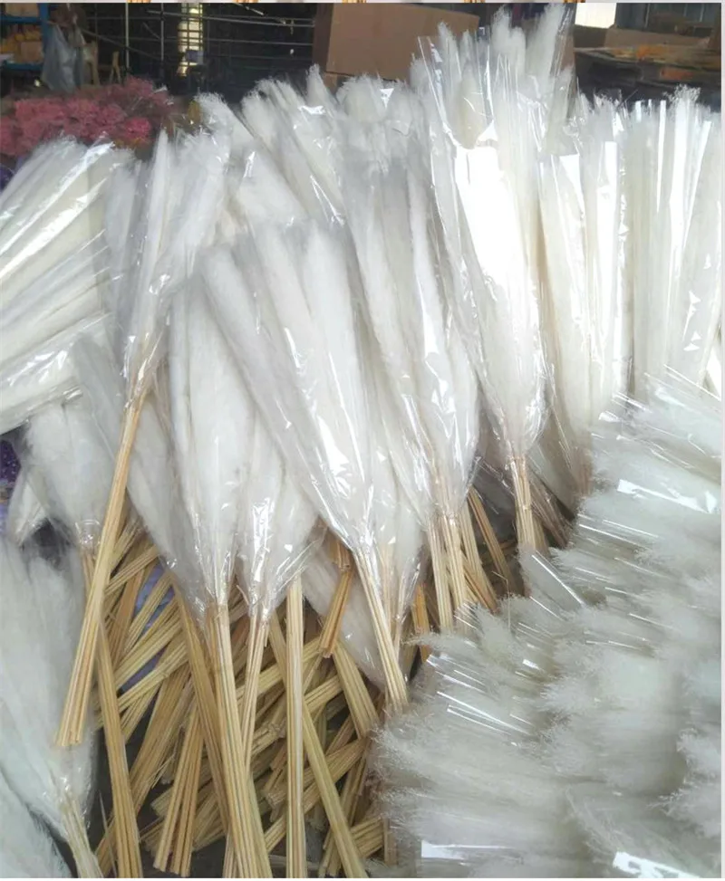 Extra Large White Dried Pampas Grass for Bulk Home Decor