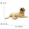3550 labrador-415g