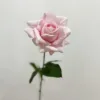 ชมพูอ่อน