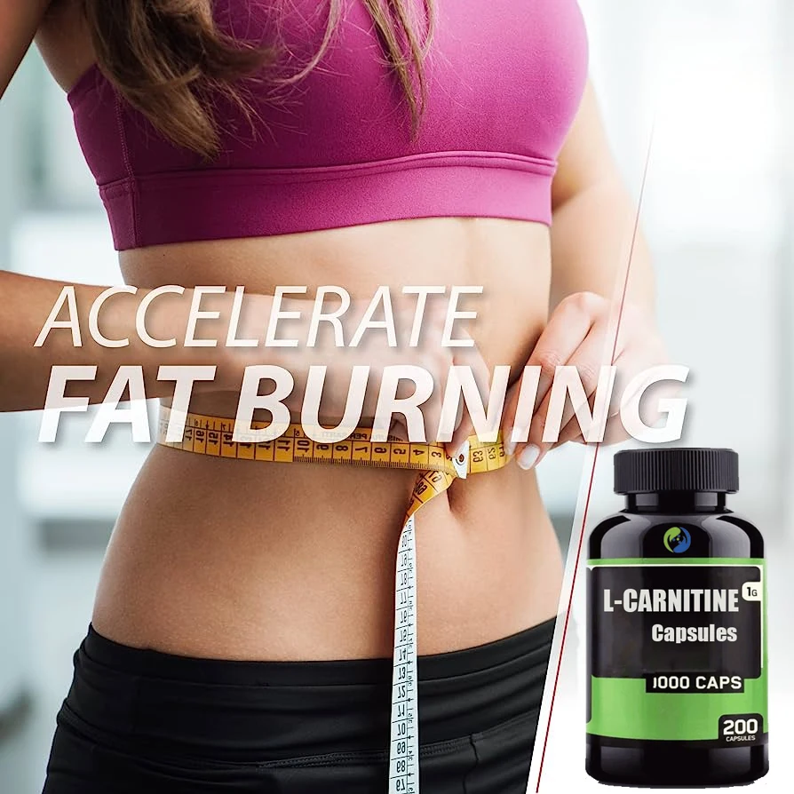 L-carnitine Powder