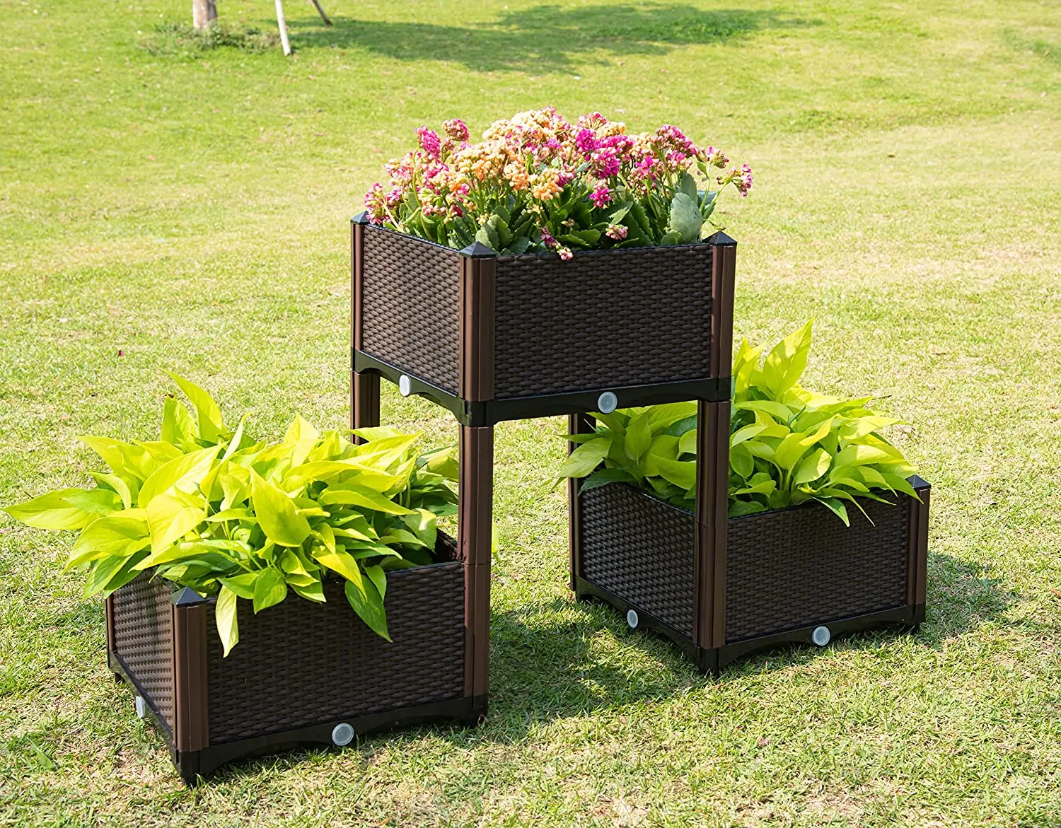 The Newest Rectangular Kit Vegetables Planting Container Raised Garden Bed for Vegetable Growing