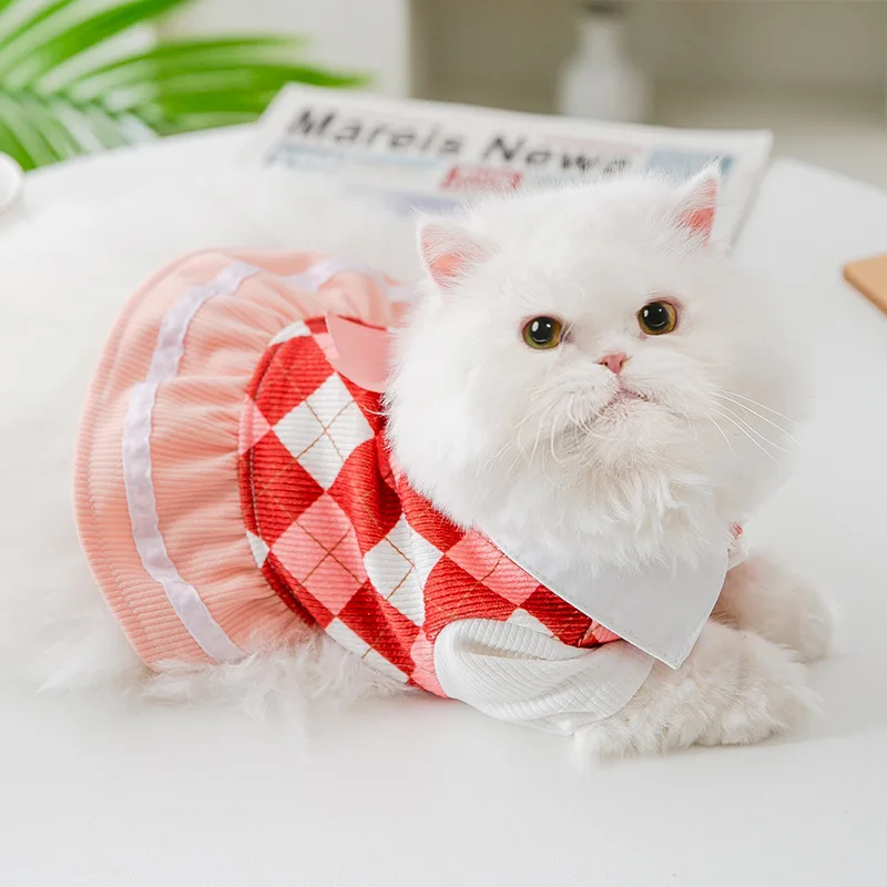 cat clothes and accessories