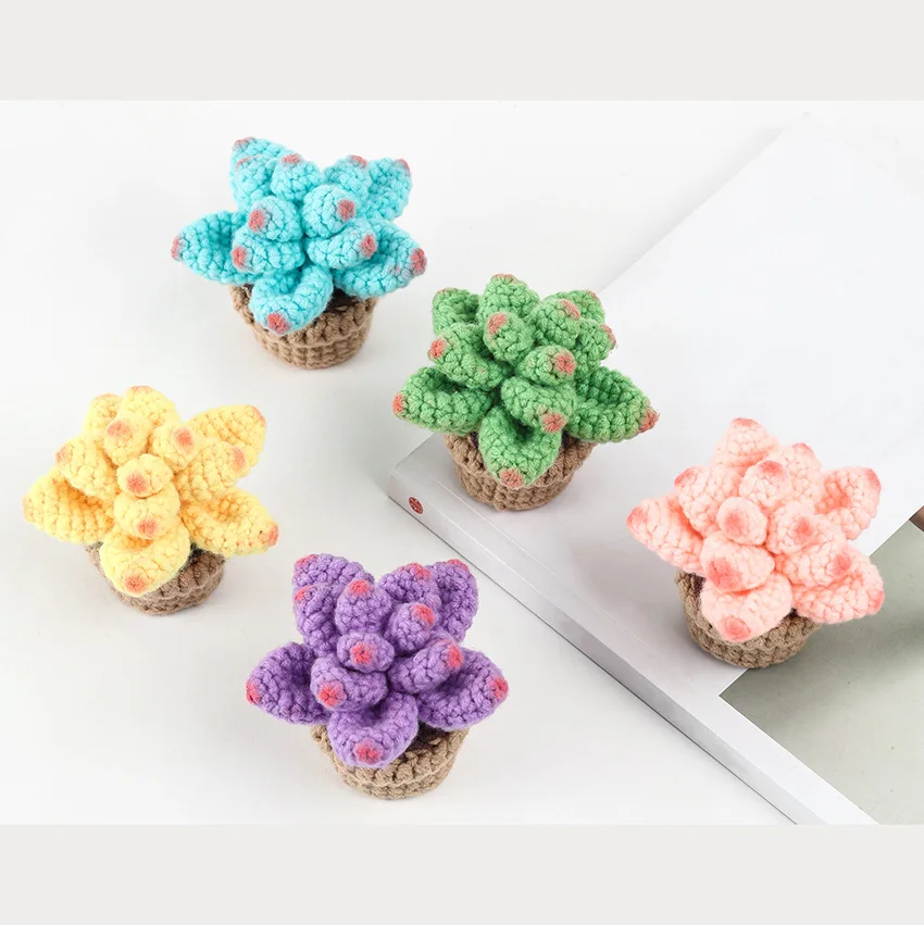 Crochet & Craft Kit Crochet Plant Flower Pot Kit Beginner Friendly For
