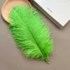 Verde Fruta