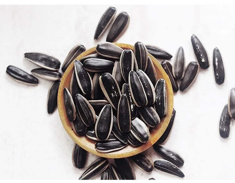 Hot Sale Chinese Inner Mongolia Good Quality Organic Large Sunflower