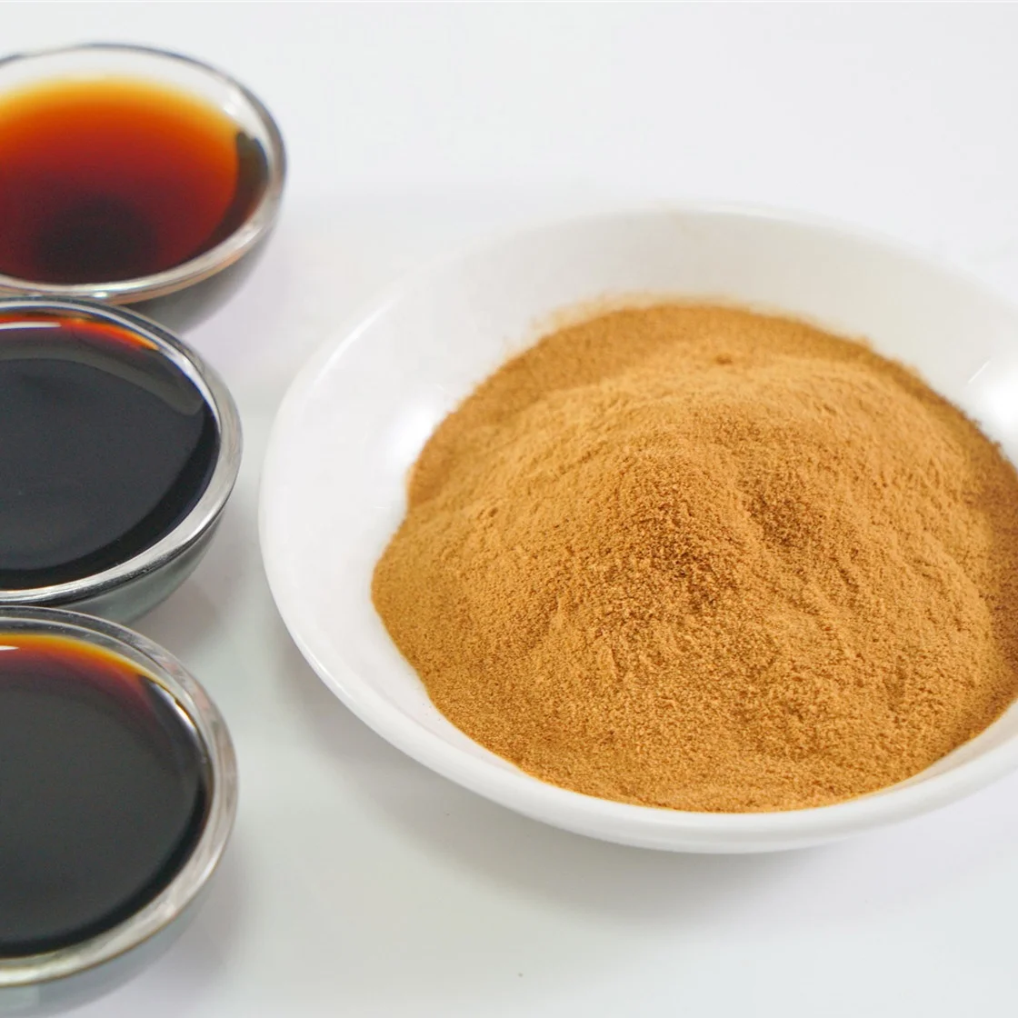 Qianhe Natural Brewed Processing Halal Soy Sauce Powder Food Addititives