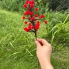 #1 Red Twisted Rod Trumpet Creeper