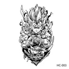 HC003