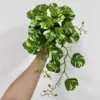 White and green (excluding pot)
