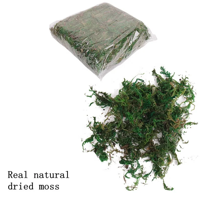 Wholesale Green Moss Real Natural Dried Moss for Orchid Vase