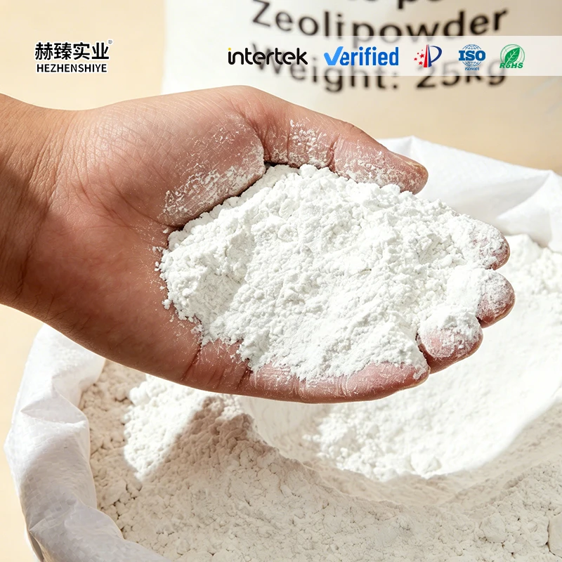 Surface Modified White Zeolite Powder for Plastic Additive Adsorbing Material Plastic Product White 4A 5A Zeolite Powder