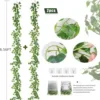 Sweet potato leaves and vines