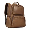 6873 Brown