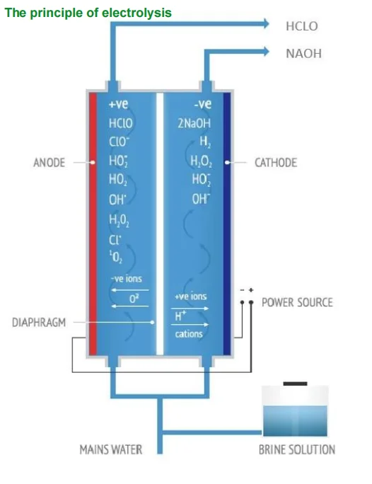 Low Price Electrolysis Hocl Electrolyzed Hypochlorous Acid Water ...