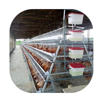 Battery Semi-automatic 4 3 Tier 90 Birds Layer Design Chicken Cage Motor Hot Product 2019 Provided 75 Automatic Poultry Farms