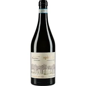 Italian White Wine Pecorino Superiore Doc 750Ml Perfect With Cheese And Fish Dishes 6 Bottles Per Box