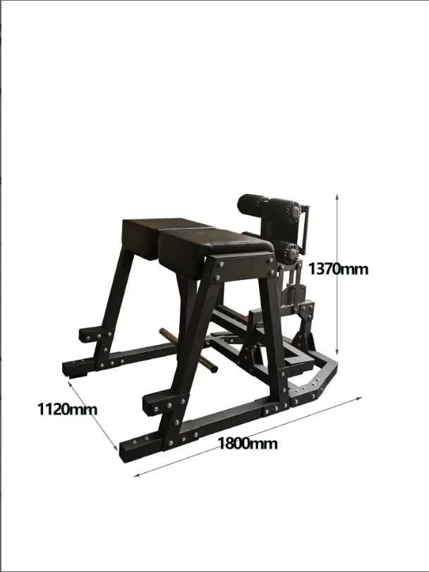 Heavy-Duty Roman Chair for Abdominal and Back Training CHD Prone Reverse Leg product detail 3