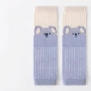 Blue Koala