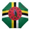 dominica 13