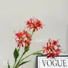 Red Spider Lily