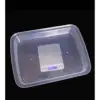 Large seedling tray with transparent lid