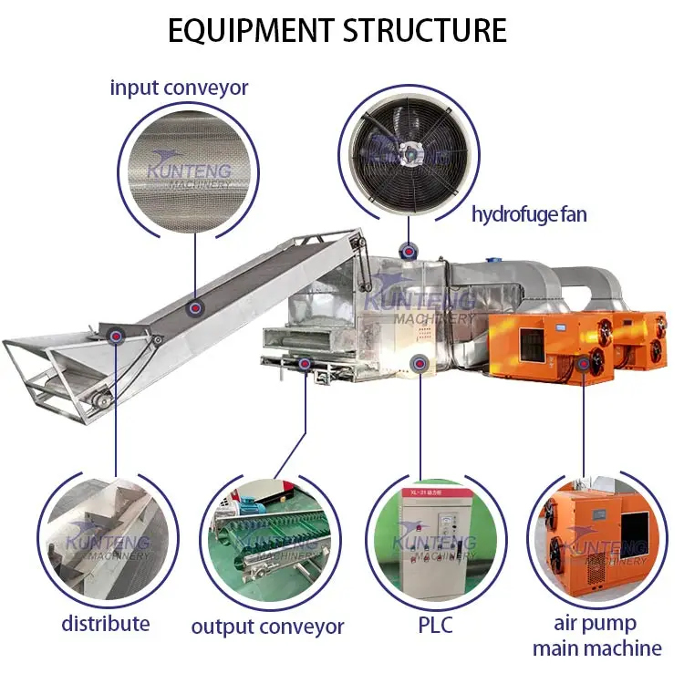 Continuous Mesh Belt Dehydrator Cassava Peanut Tomato Sweet Potato Ginger Slice Dryer Drying Machine