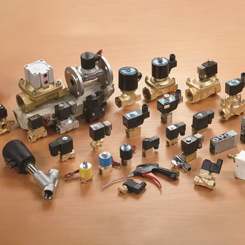 2W Normally Close Electric Brass 12v 24v 220V 1 2 3 Inch Solenoid Valve for Water Control Two Way Magnetic Water Solenoid Valve