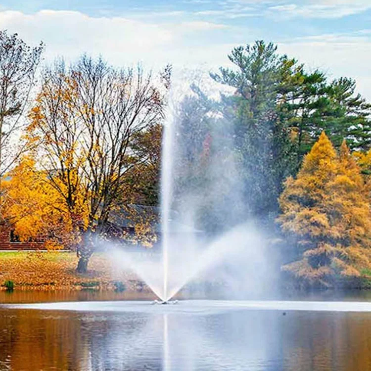 Fenlin Luxury Dancing Musical Water Feature Indoor Outdoor Modern Style Stainless Material Small Gardens Floating Pond Fountain