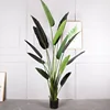 Banane voyageuse de 2,4 m