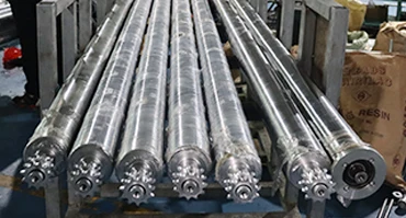 Hongrui High Quality Zinc Plated Carbon Steel Double Sprocket Conveyor Roller details