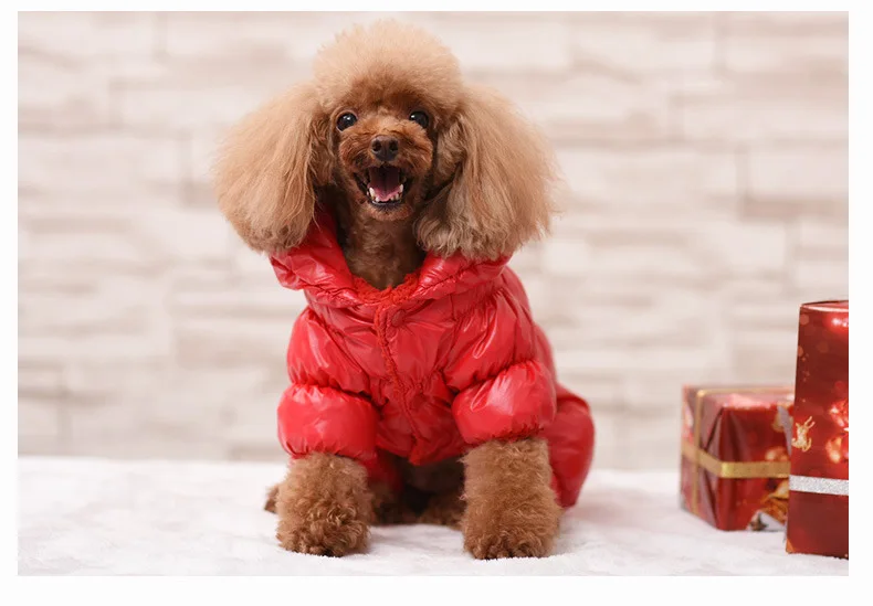 Best Selling Luxury Pet Clothes Dog Coats Wholesale 7 Colors Winter Thick Warm Windproof Pet Jacket For Puppy Teddy P