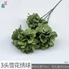 Hortensia copo de nieve de 3 cabezas WY Green