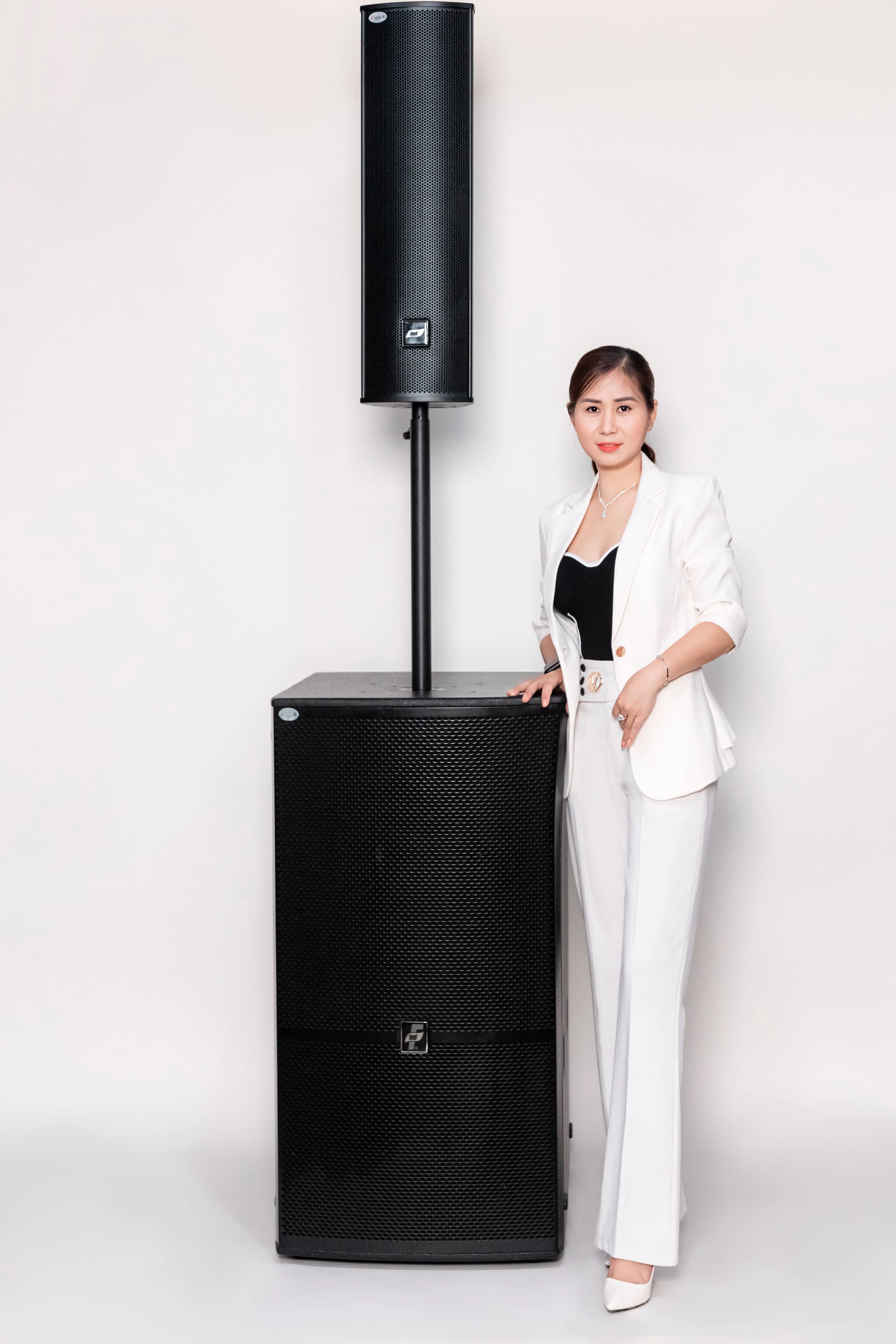 Best Column Speakers Price,Column Loudspeakers Pa 700w For Full Sound