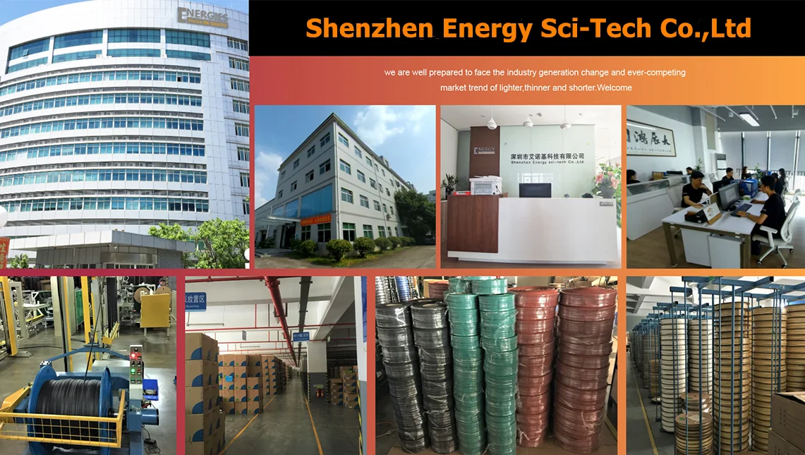 Shenzhen energy. Shenzhen Energy завод.