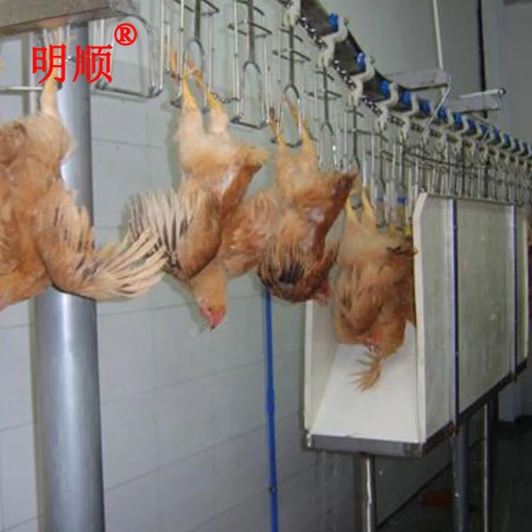 Poultry Slaughtering Production Line  1000-2000bph Halal Chicken Slaughtering Machine Chicken Slaughter House