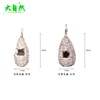 Black grass gourd - large size (12*12*25)