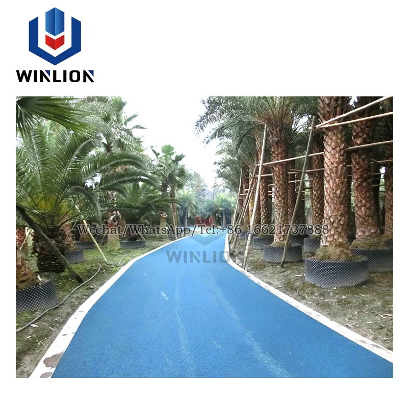 Color Paint for Asphalt Driveway