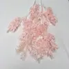 สีชมพู