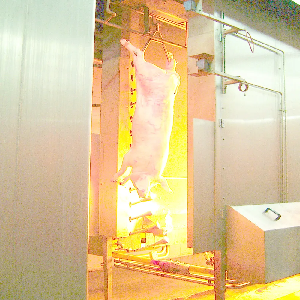 Slaughter equipment pig slaughterhouse machinery production line