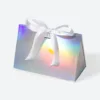 Holographic