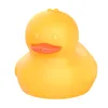 duck yellow