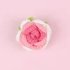 Gradient roseo-กลีบเลี้ยงดอกกุหลาบโค้งมน (พร้อมฐาน)