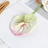 Single film anthurium green no. 5