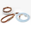 Dog Collar and Leash Set Blue