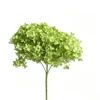 Verde erba