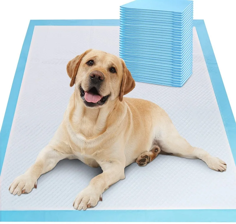 How To Potty Train A Dog On Puppy Pads